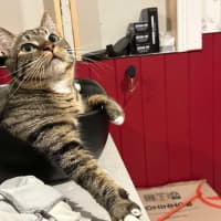 Photo of Coco And Mocha 