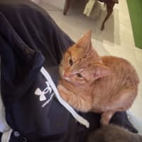 Photo of Edward