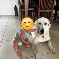 Photo of Marlie 