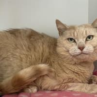 Photo of Simon