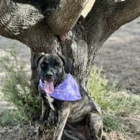 Photo of Lucy
