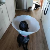 Photo of Mollie