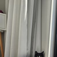 Photo of Sugar