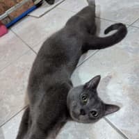 Photo of Smokey