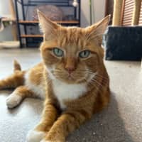 Photo of George 