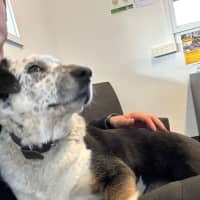 Photo of Kung Fu Panda 