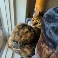 Photo of Rosemary 