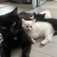 Photo of Sugar