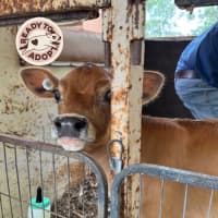 Photo of Darby & Elliot