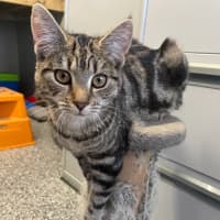 Photo of Tabitha