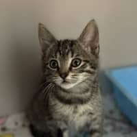 Photo of Luna