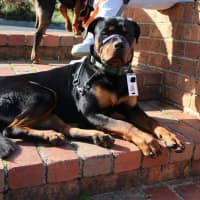 Photo of Lucky Newhaven