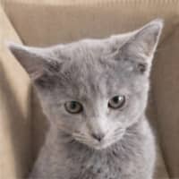 Photo of Islay And Arran 🌷