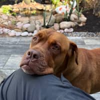 Photo of Tia 