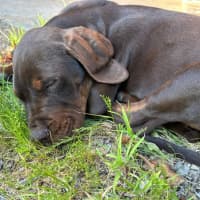 Photo of Tex (Was Maurice)