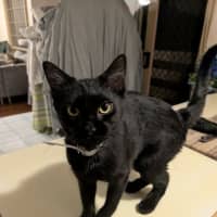 Photo of Tammy