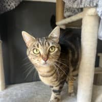 Photo of Nancy