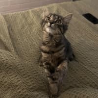 Photo of Odette