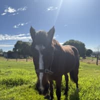Photo of Louie