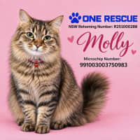 Photo of Molly