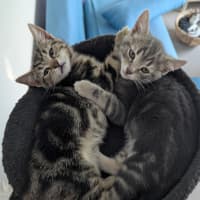 Photo of Maya Scotty