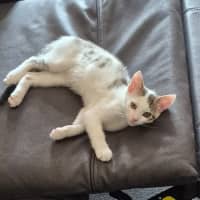 Photo of Bobby