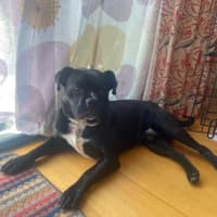 Photo of Buster ❤️