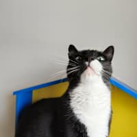 Photo of Damon