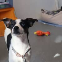 Photo of Lucy