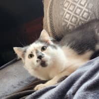 Photo of Freya