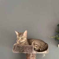 Photo of Aurora   Located In Bentleigh East