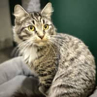 Photo of Elise