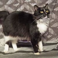 Photo of Coco