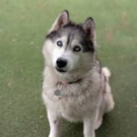Photo of Miya