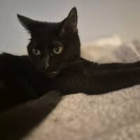 Photo of Kiki