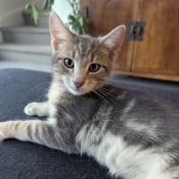 Photo of Hugo Scotty