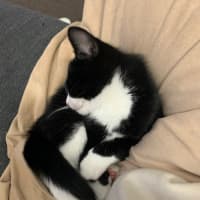 Photo of Christopher