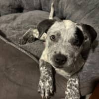 Photo of Doc