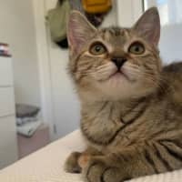 Photo of Big Sister