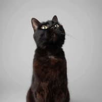 Photo of Mabel 