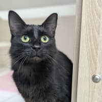 Photo of 🍓 Miriam 5923 🍓