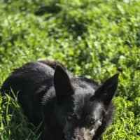 Photo of Matilda