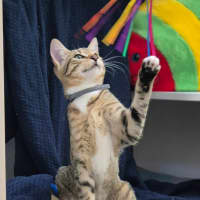 Photo of Molly (8980)