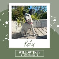 Photo of Katy