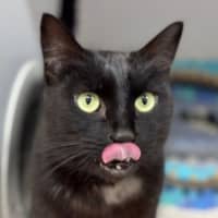 Photo of Adeline
