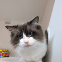 Photo of Dark And Stormy