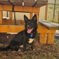 Photo of Thor