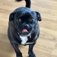 Photo of Christopher 