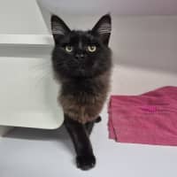Photo of Tufts 