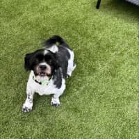 Photo of Bonded Sisters